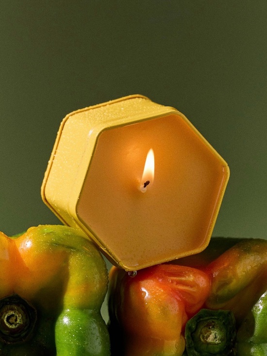 Anthropologie Other - Anthropologie Juliette Fresh Wildflower & Bell Pepper Hexagonal Tin Candle